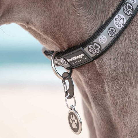 Dog Collar Paw Impressions Black Dog Nation