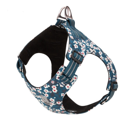 Floral Dog Harness Vest Saxony Blue Dog Nation