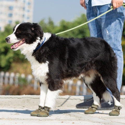 Dog Shoes - Explorer Anti-Slip Outdoor Set of 4 Dog Nation