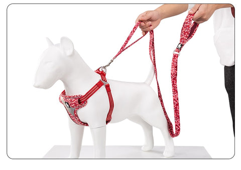 Floral Dog Leash With Multiple Handles Dog Nation