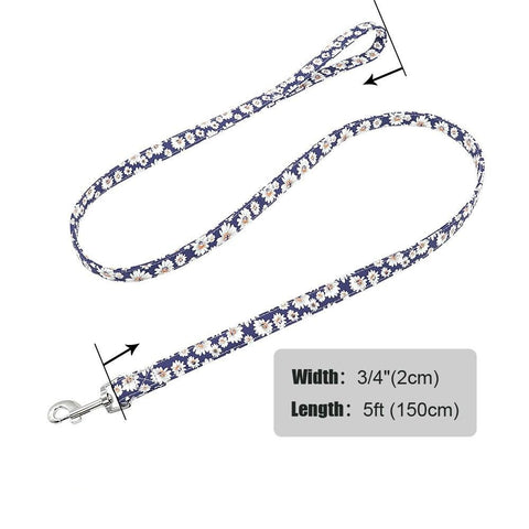 Leo Colourful Dog Leash 150cm Dog Nation