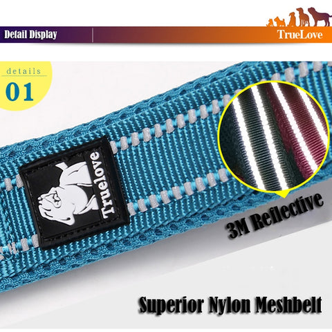 Dog Leash Soft Padded Strong Reflective Nylon 110cm Dog Nation