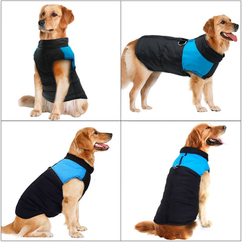 Waterproof Dog Jacket Dog Nation