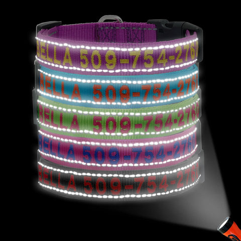 Embroidered Dog Collar Nylon Personalised Reflective Dog Nation