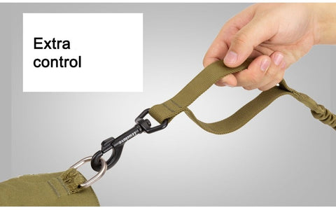Bungee Dog Leash With Soft Padded Handle Dog Nation