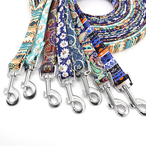 Leo Colourful Dog Leash 150cm Dog Nation
