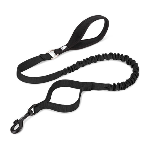 Bungee Dog Leash With Soft Padded Handle Black Dog Nation