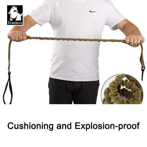 Bungee Dog Leash With Soft Padded Handle Dog Nation