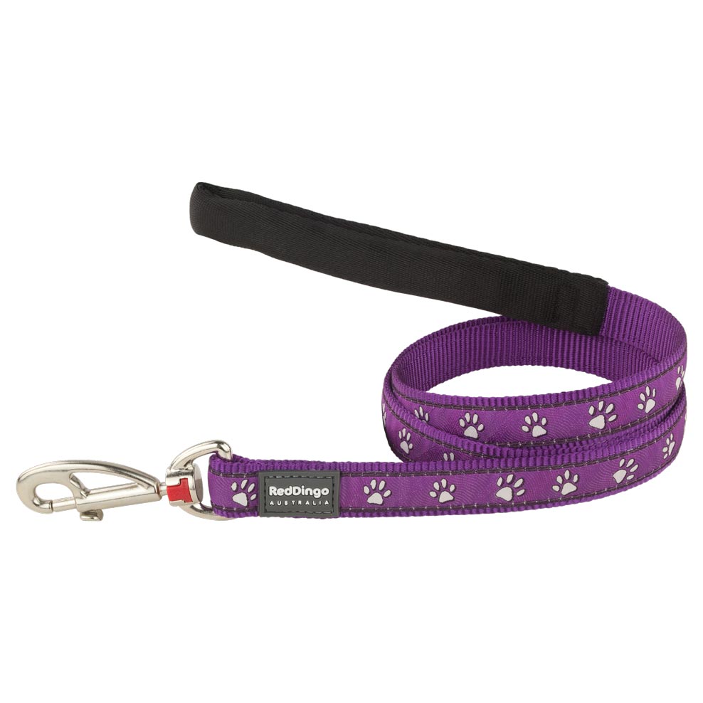 Dog Lead Desert Paws Purple L S M XS Dog Nation