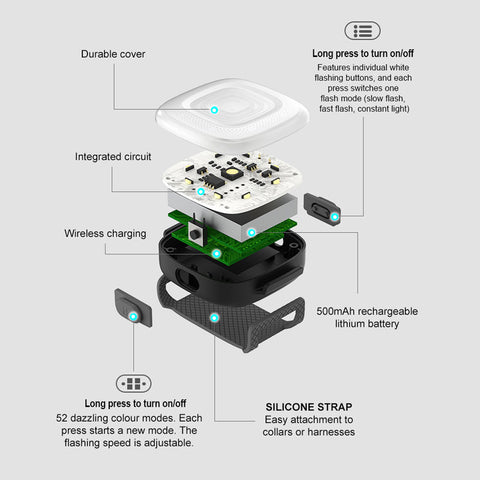 Rechargeable LED for Dog Collars & Harnesses Waterproof Dog Nation