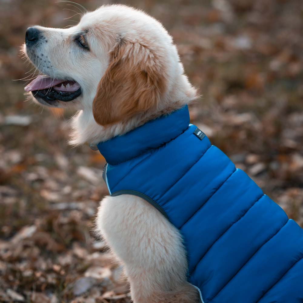 Dog Puffer Jacket Dog Nation