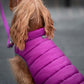 Dog Puffer Jacket Dog Nation