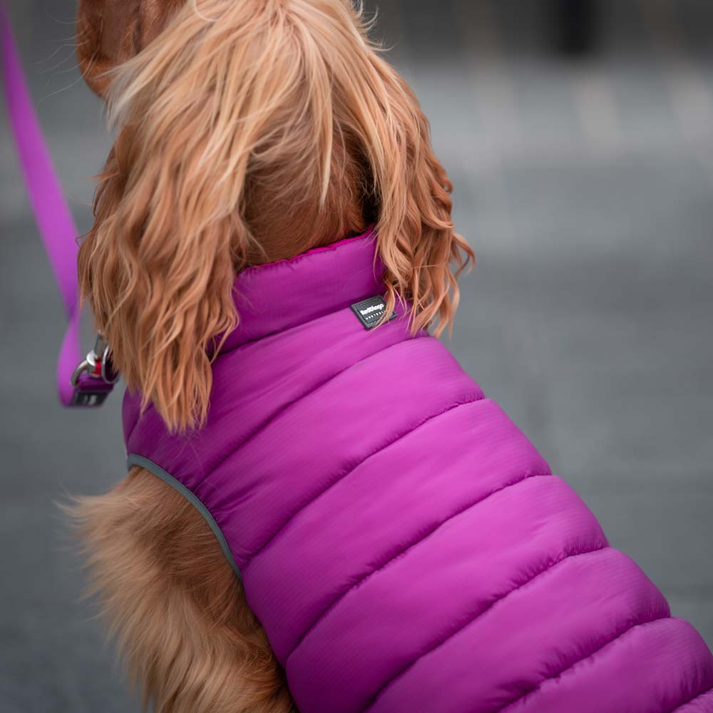Dog Puffer Jacket Dog Nation