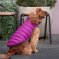 Dog Puffer Jacket Dog Nation