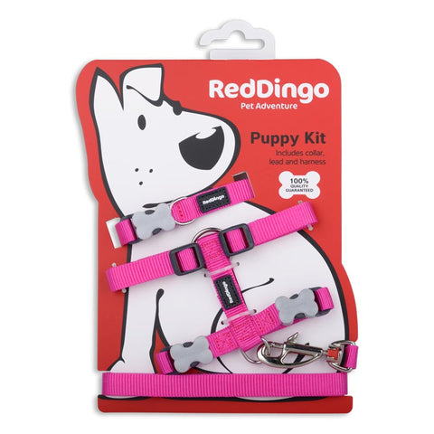 Essential Puppy Starter Pack Dog Nation
