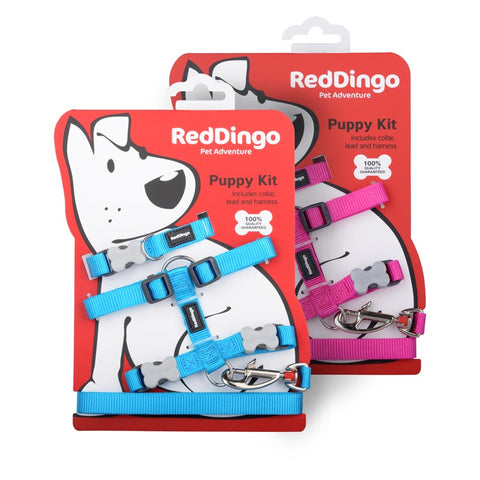 Essential Puppy Starter Pack Dog Nation