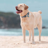Dog ID Tags Wave Dog Nation
