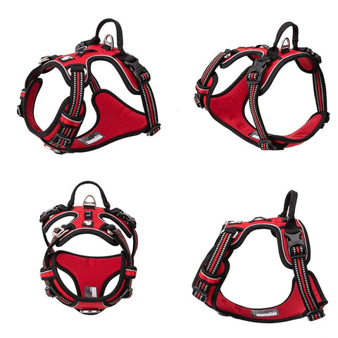 Adventurer No Pull Dog Harness Extra Durable Dog Nation
