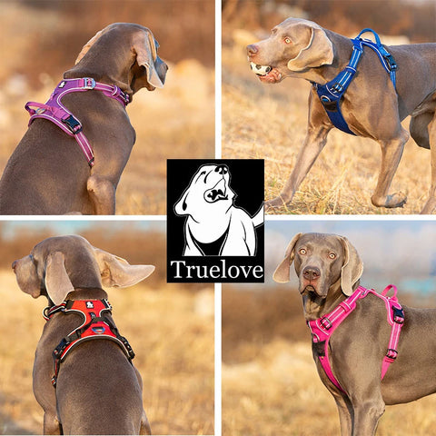 Adventurer No Pull Dog Harness Extra Durable Dog Nation