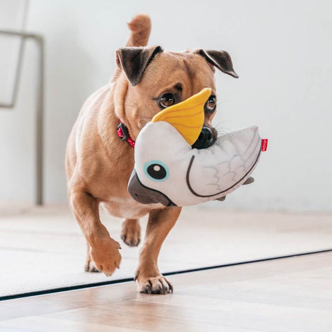 Dog Soft Toy Cockatoo Dog Nation