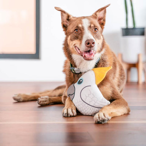 Dog Soft Toy Cockatoo Dog Nation