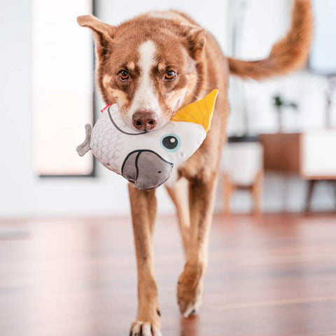 Dog Soft Toy Cockatoo Dog Nation