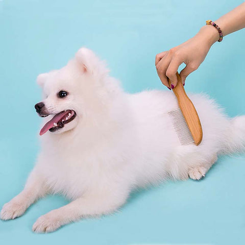 Dog Grooming Comb Dog Nation