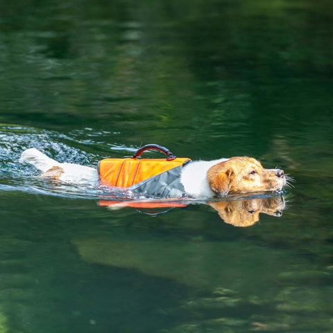 Life Jacket for Dogs Truelove Dog Nation