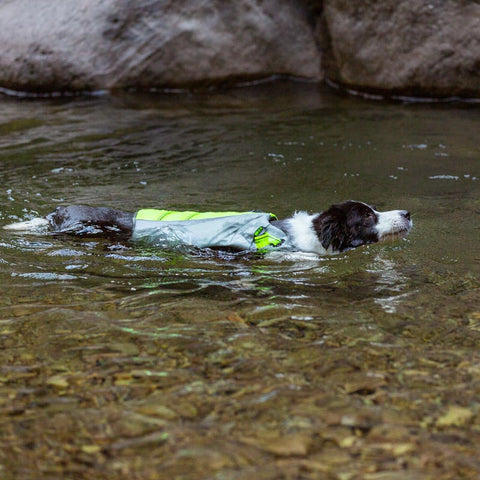 Life Jacket for Dogs Truelove Dog Nation