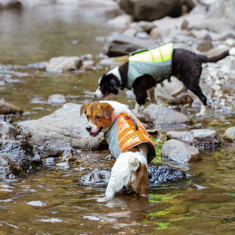 Life Jacket for Dogs Truelove Dog Nation