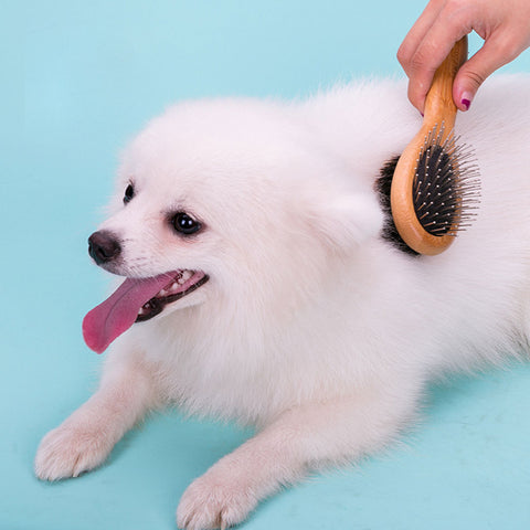 Double-Sided Dog Brush Natural Bamboo Dog Nation