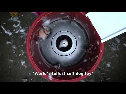 Dog Soft Toy Shark