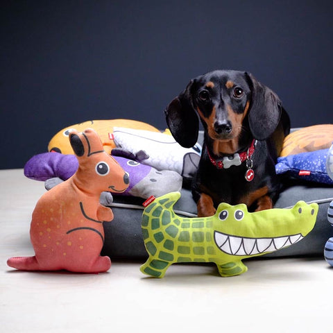 Dog Soft Toy Kangaroo Dog Nation