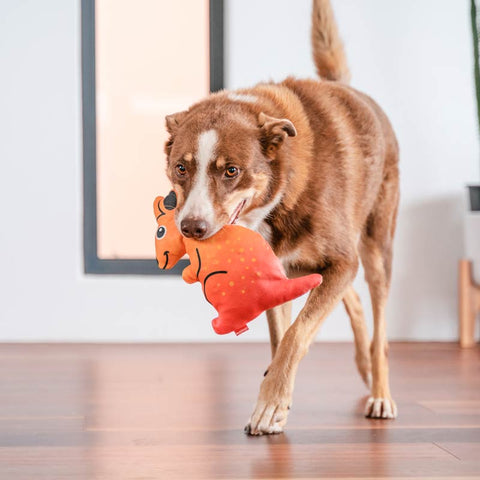 Dog Soft Toy Kangaroo Dog Nation
