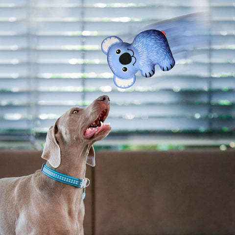 Dog Soft Toy Koala Dog Nation