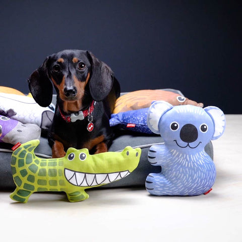 Dog Soft Toy Koala Dog Nation