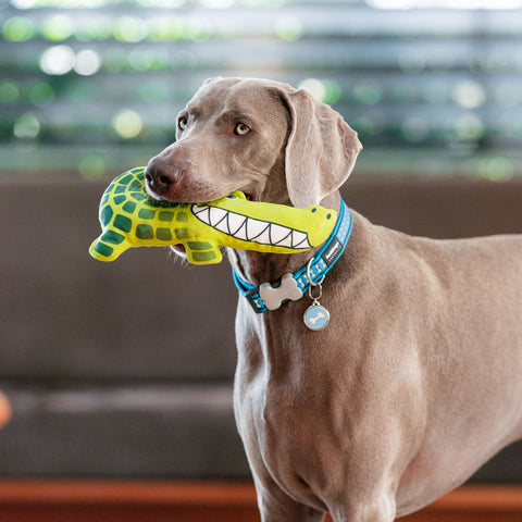 Dog Soft Toy Crocodile Dog Nation