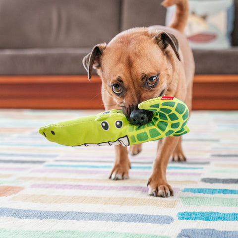 Dog Soft Toy Crocodile Dog Nation