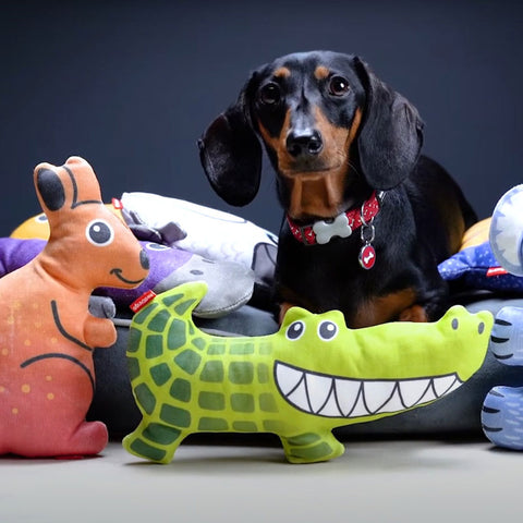 Dog Soft Toy Crocodile Dog Nation