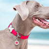 Dog ID Tags Medical Dog Nation
