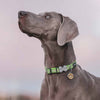Dog ID Tags Monkey Dog Nation