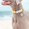Dog ID Tags Monkey Dog Nation