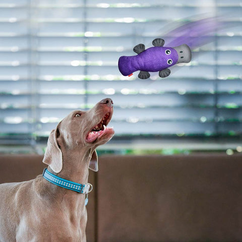 Dog Soft Toy Platypus Dog Nation