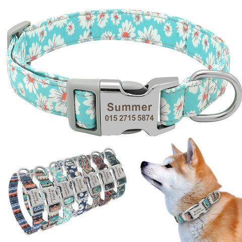 Leo Colourful Personalised Dog Collar Dog Nation