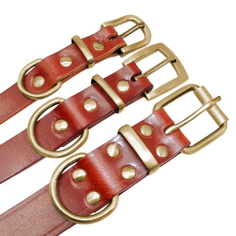 Dog Collar Genuine Leather Free Engraving Dog Nation