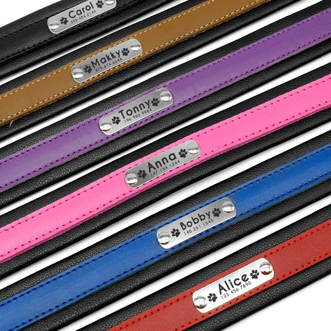 Genuine Leather Personalised Dog Collar Dog Nation