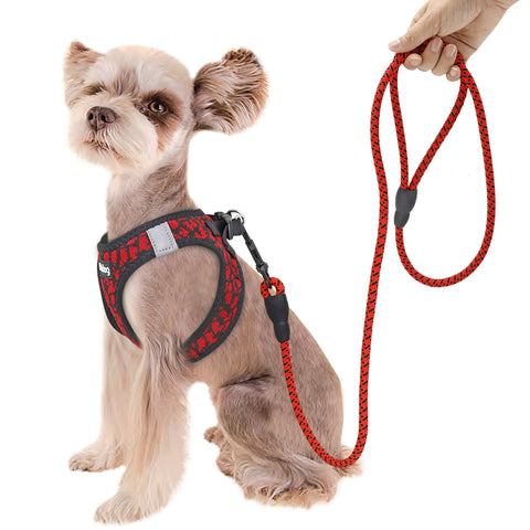 Nylon Dog Leash 1.5m Durable Dog Nation