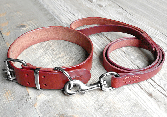 Theo Heavy Duty Genuine Leather Dog Collar Leash Set Brown Dog Nation