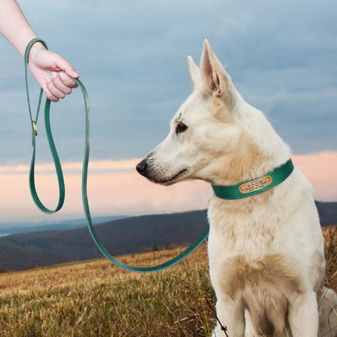 Sirius Genuine Leather Dog Collar and Leash Set Personalised Dog Nation