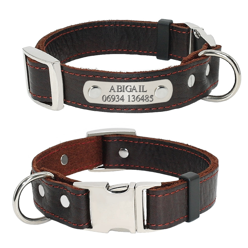 Dog Collar Genuine Leather Brown Free Engraving Brown Dog Nation